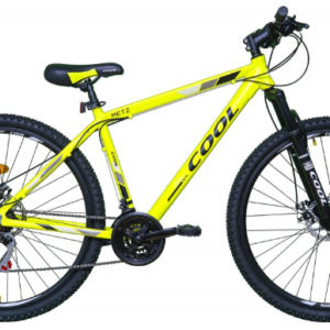 BICICLETA COOL RODADO 29