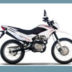 WhatsApp Image 2025-11-14 at 10.32.11 (1)