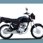 WhatsApp Image 2025-11-14 at 10.32.12